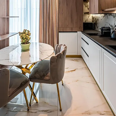公寓 Luxury Near Center 布加勒斯特